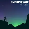 Kweku Bizkit - Nye Kpli Woe (Me and You) - Single